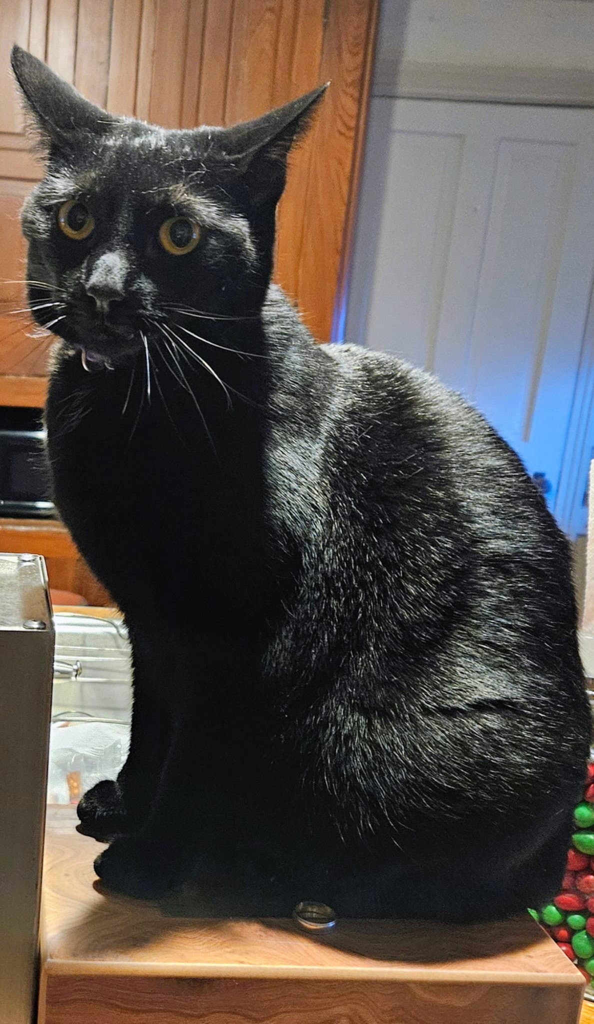 Minnie