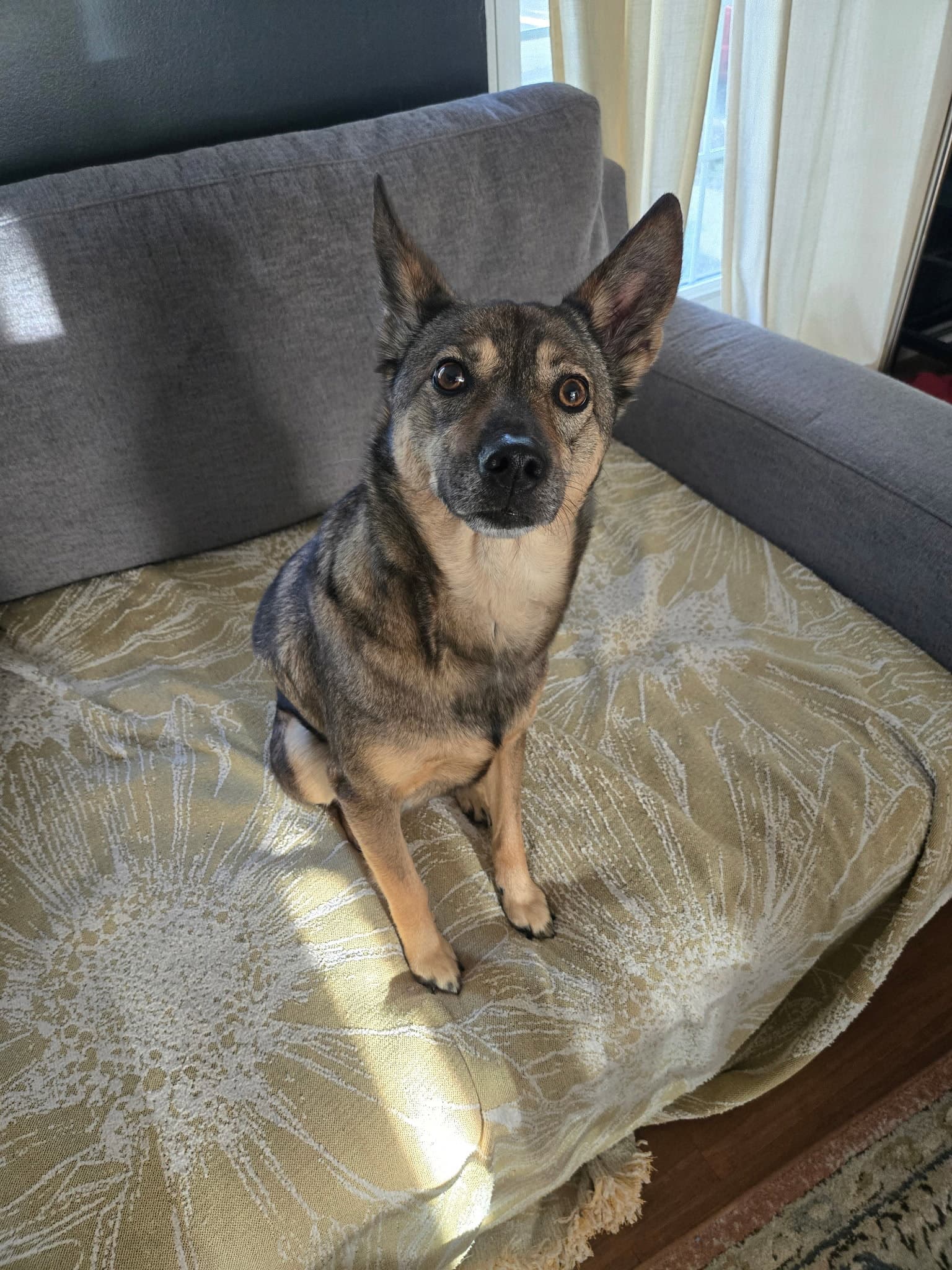 Tula Bean