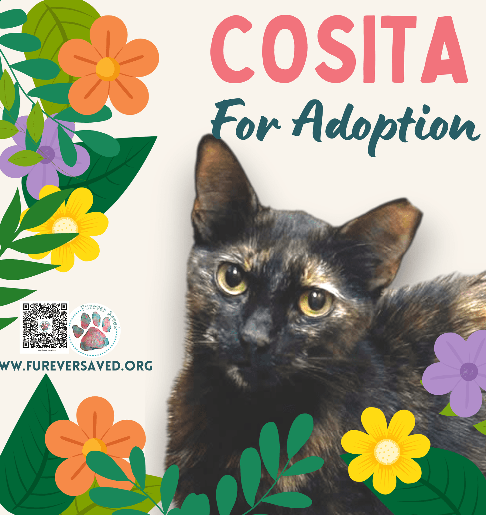 Cosita