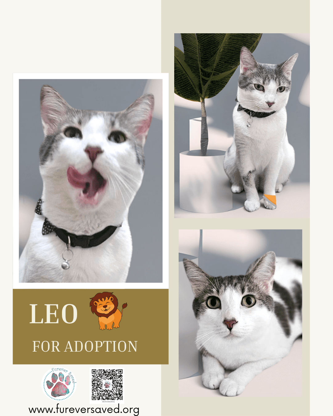 Leo