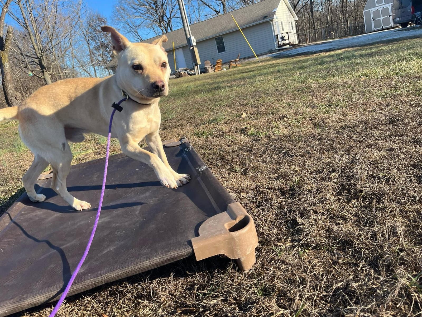 Paco