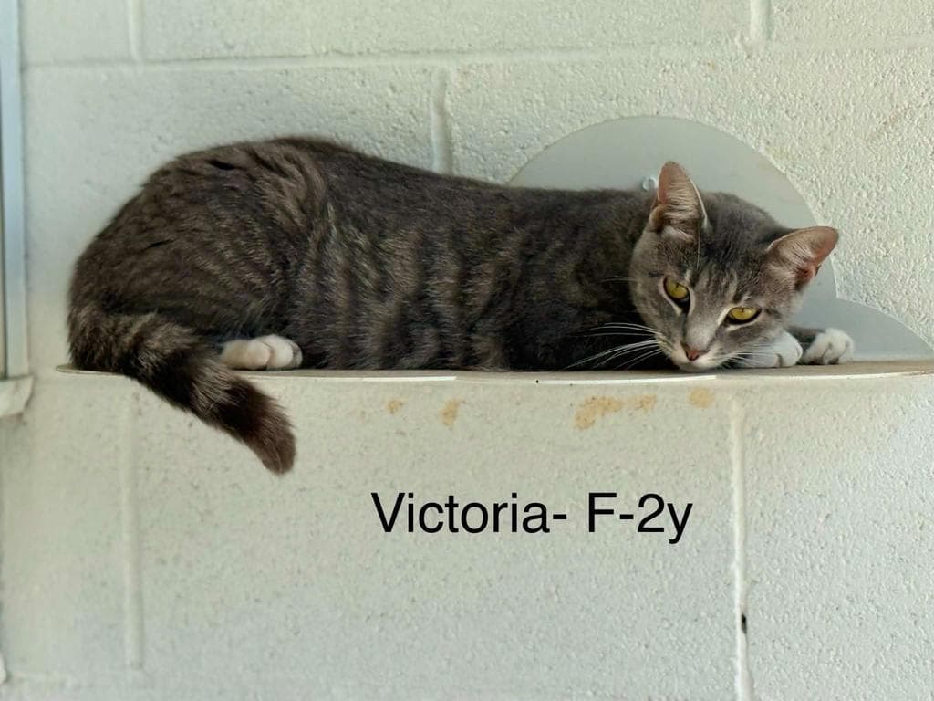 victoria