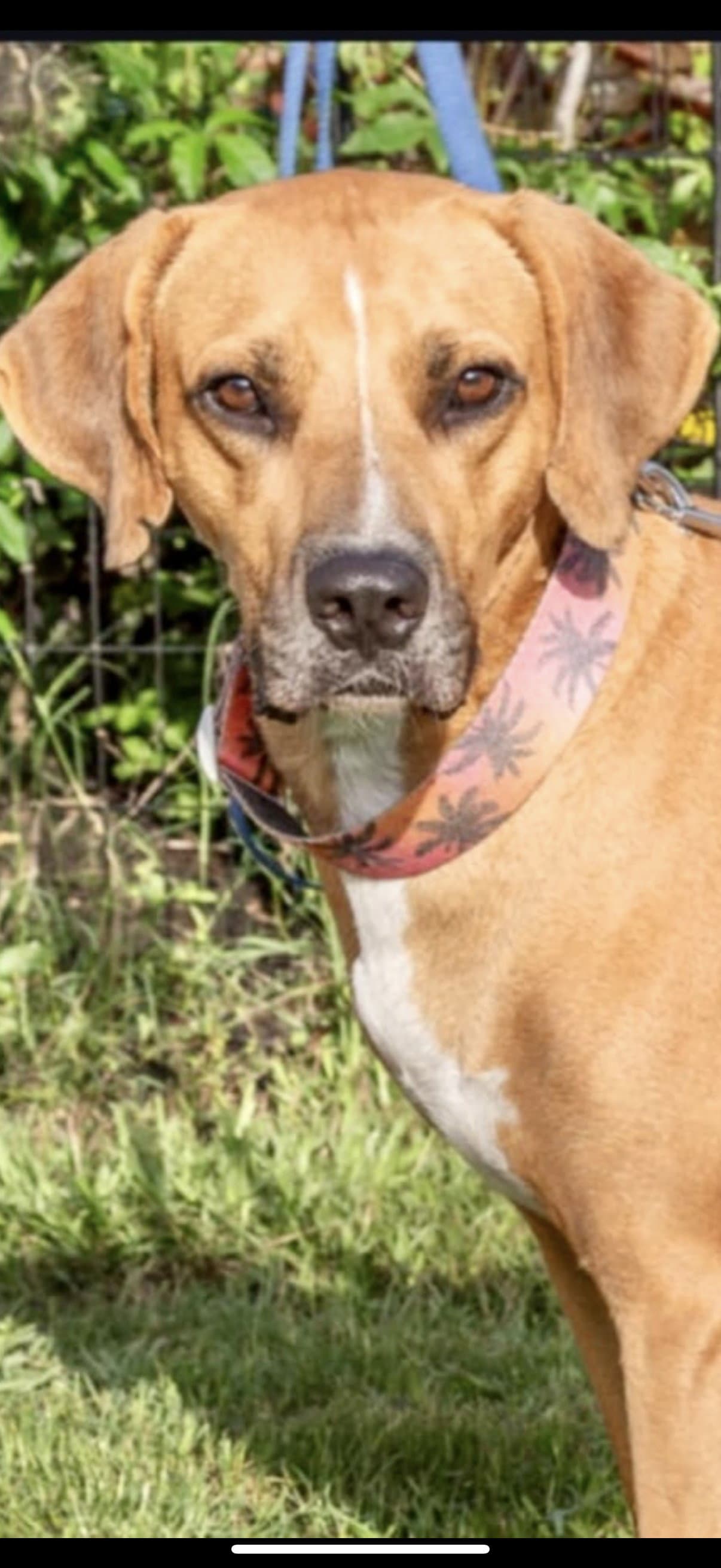 Jeremy