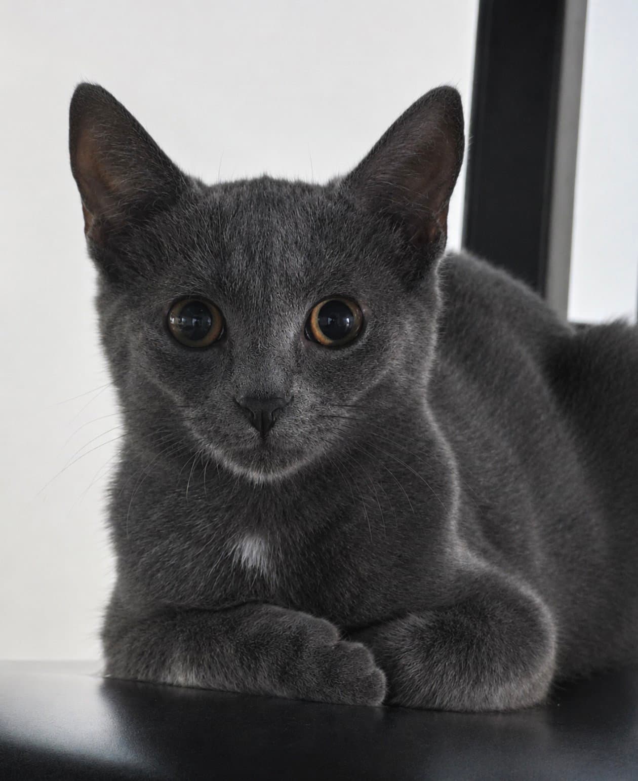 Missy