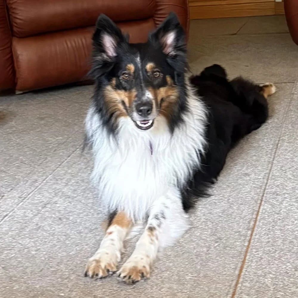 Sam