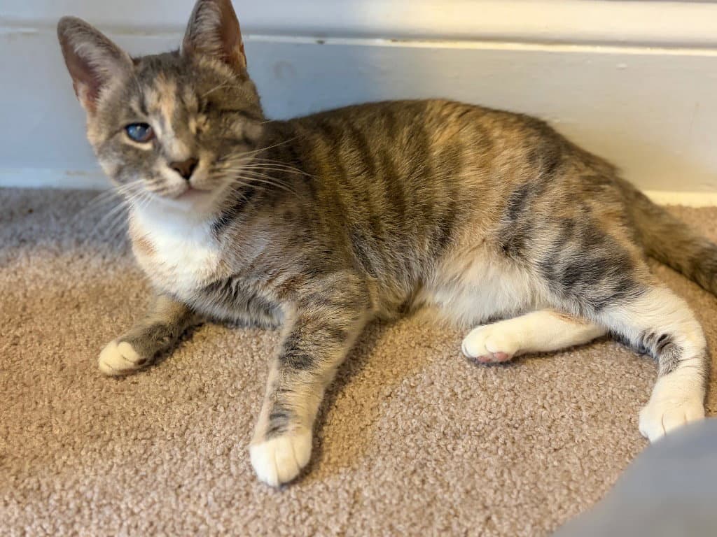 Marble