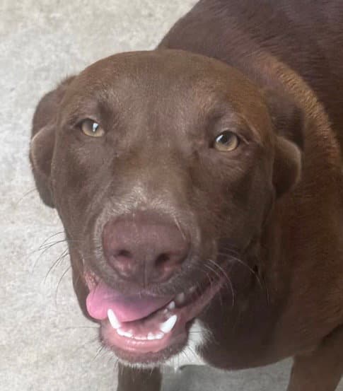 Jasper