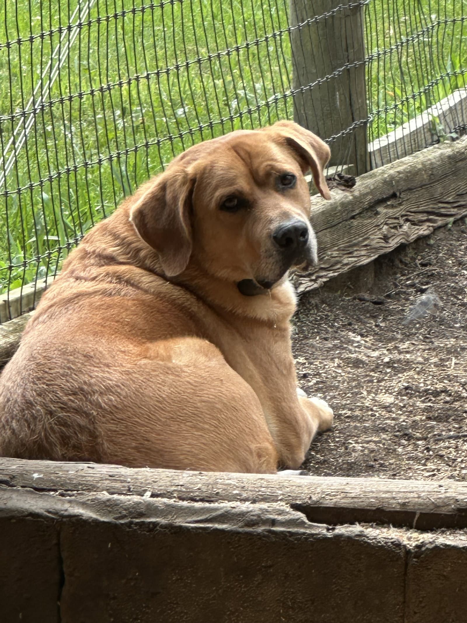 Charlie