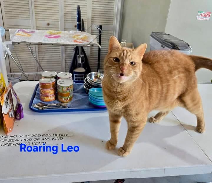 Leo