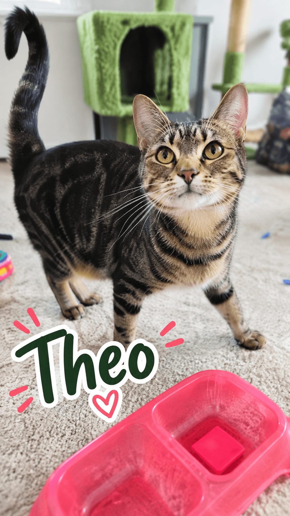 Theodora and Nell (bonded)