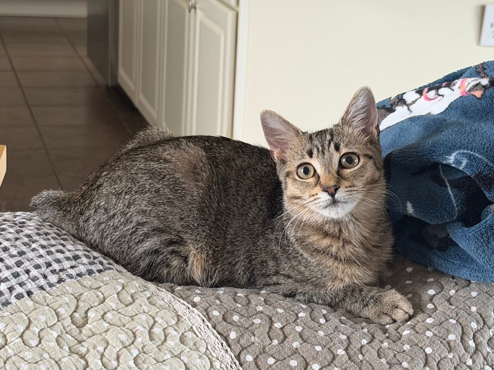 Princess Vespa