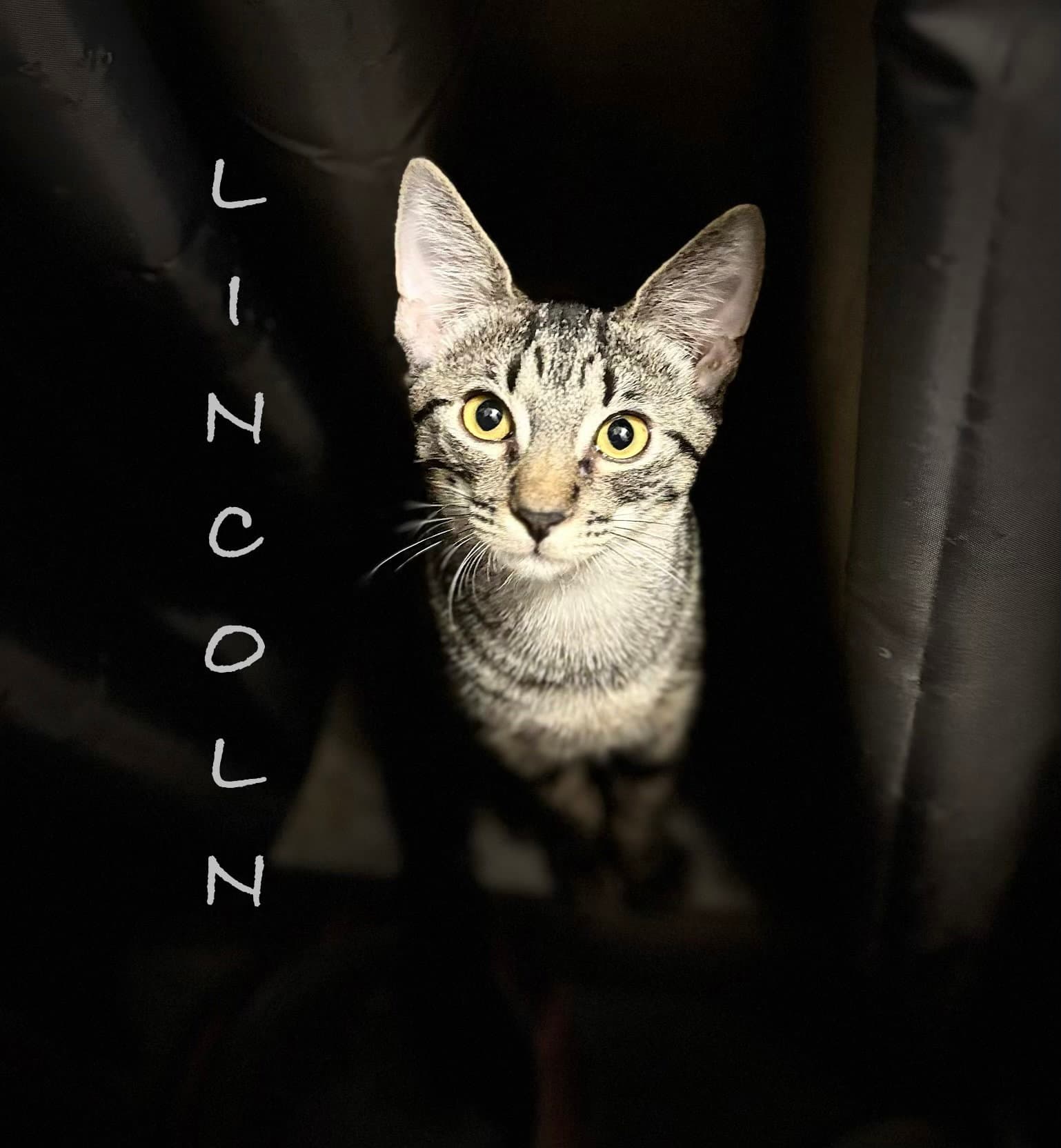 Lincoln