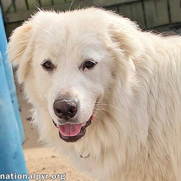 Amaya in KY - Loves To Be With Her People!