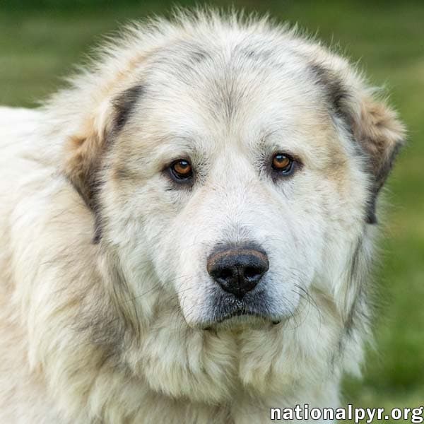 Jake in TN - A Laid-back Guy!