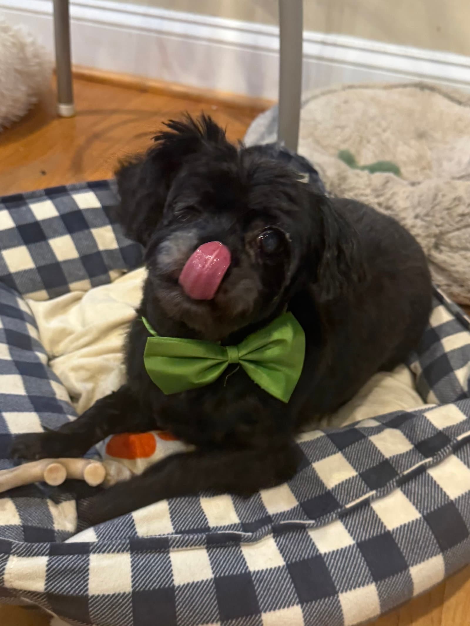 Mike Jul 25 - In Foster in Raleigh, NC