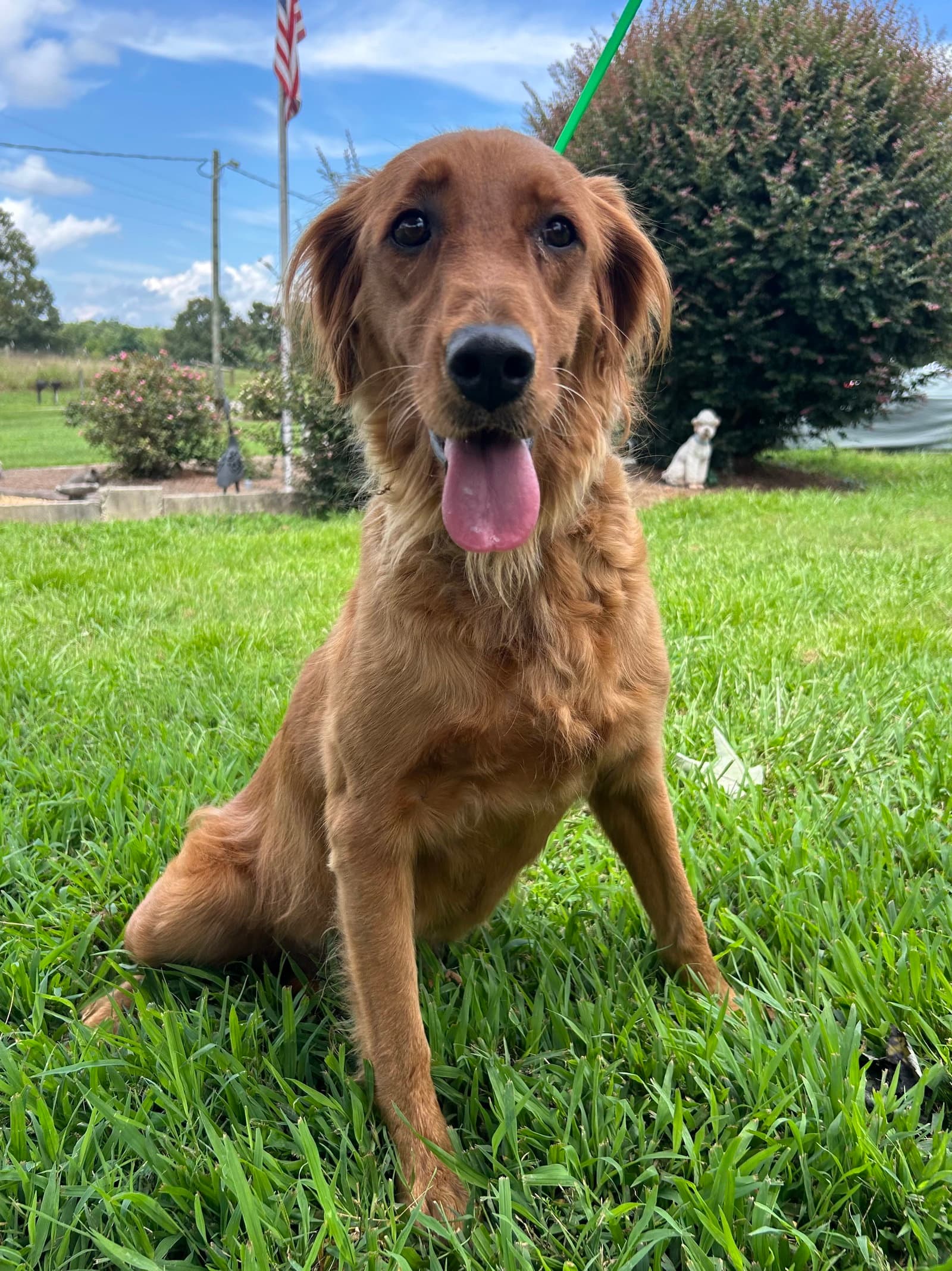 Reba Jul 26