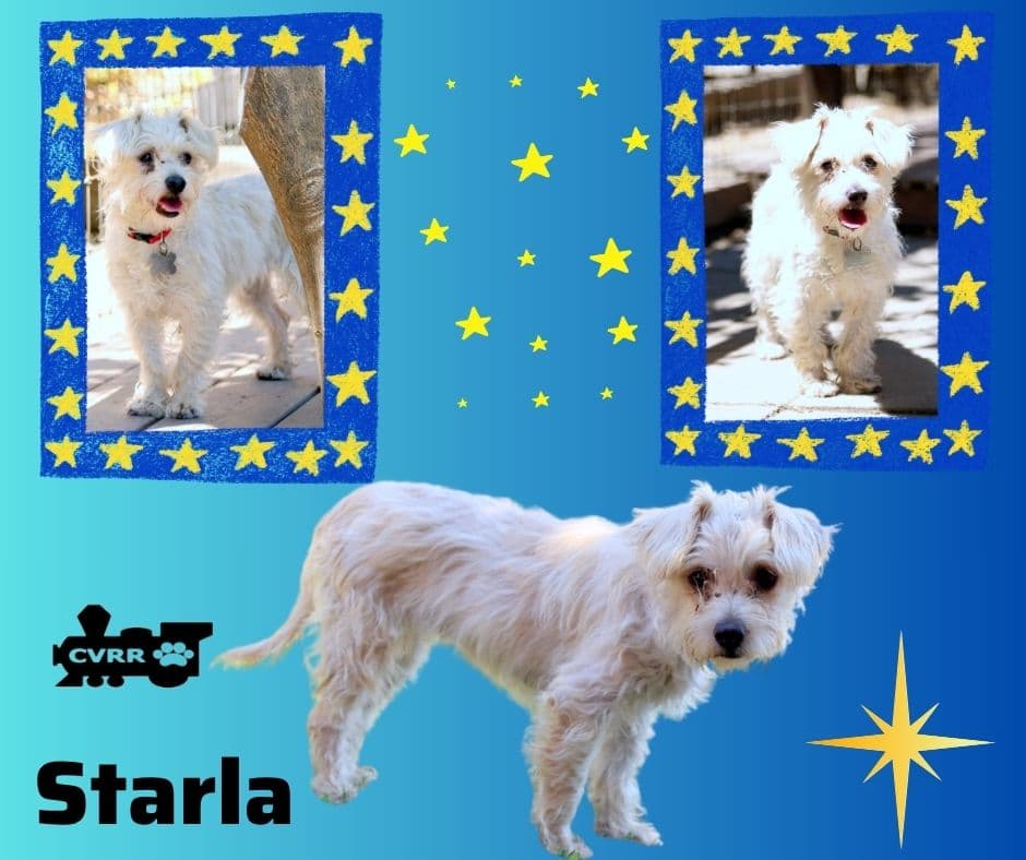 Starla