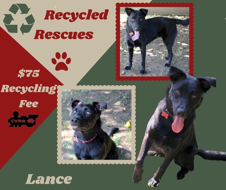 Lance (Recycle)