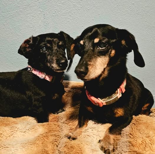 Violet and Abby