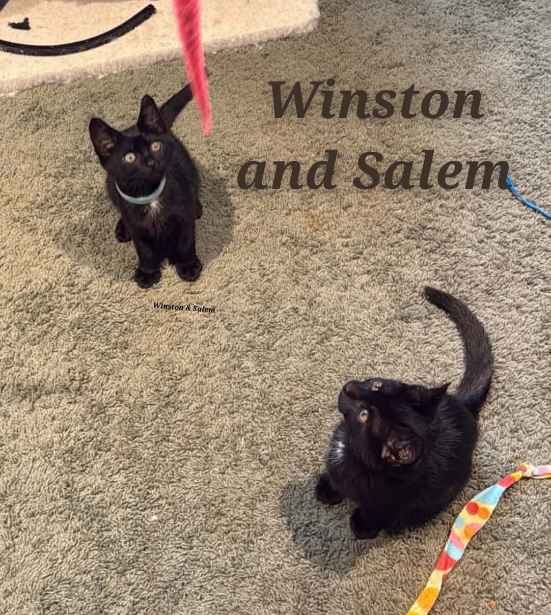 Winston & Salem