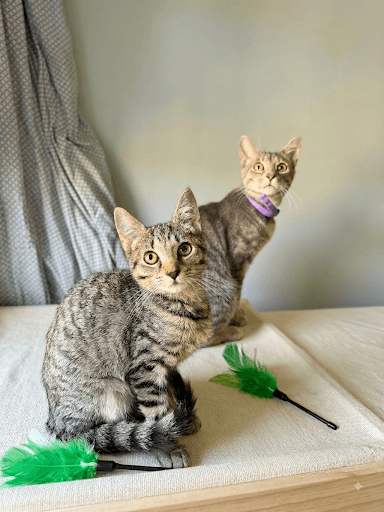 Phoebe and Precious