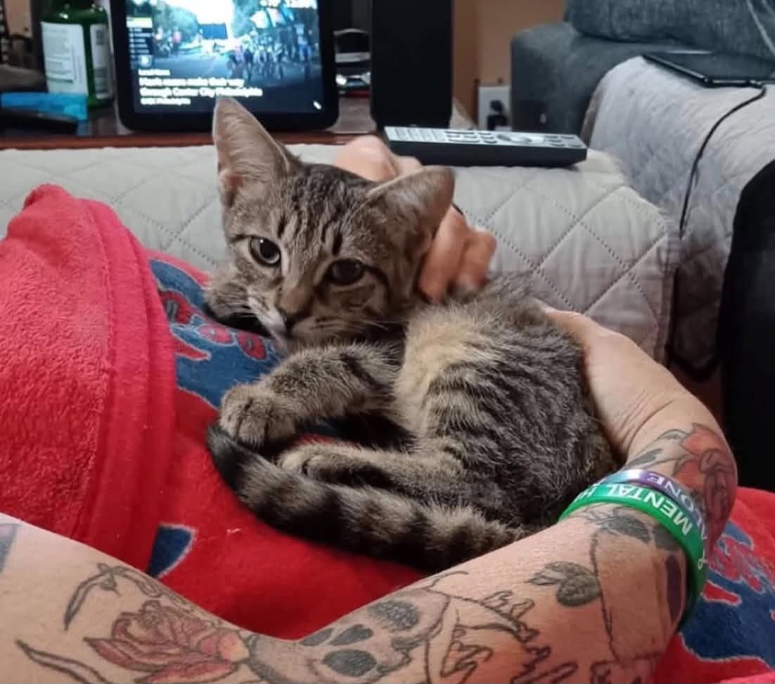 Munchkin