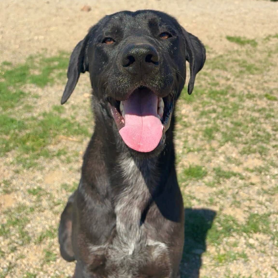 Max