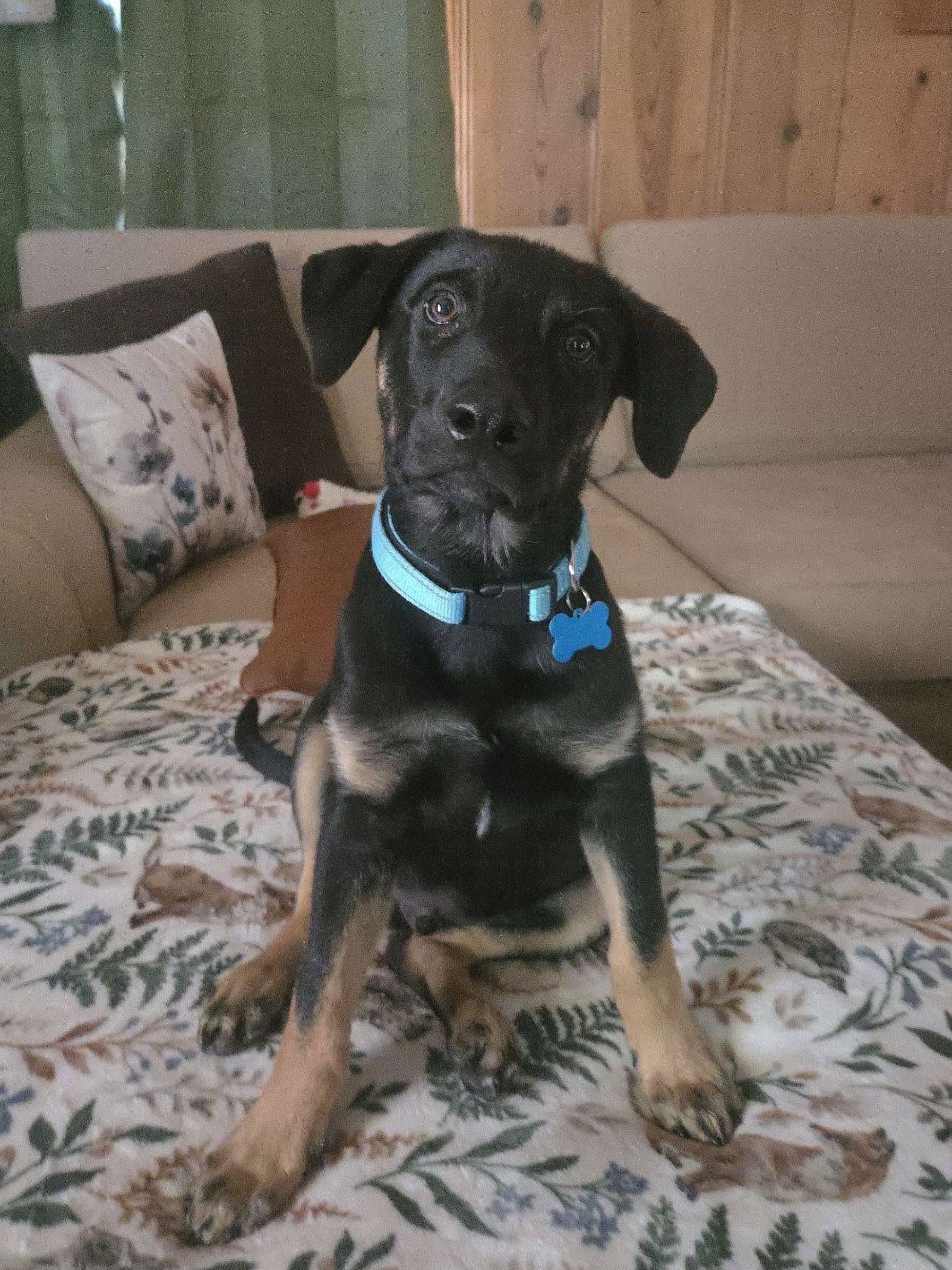 Barkley