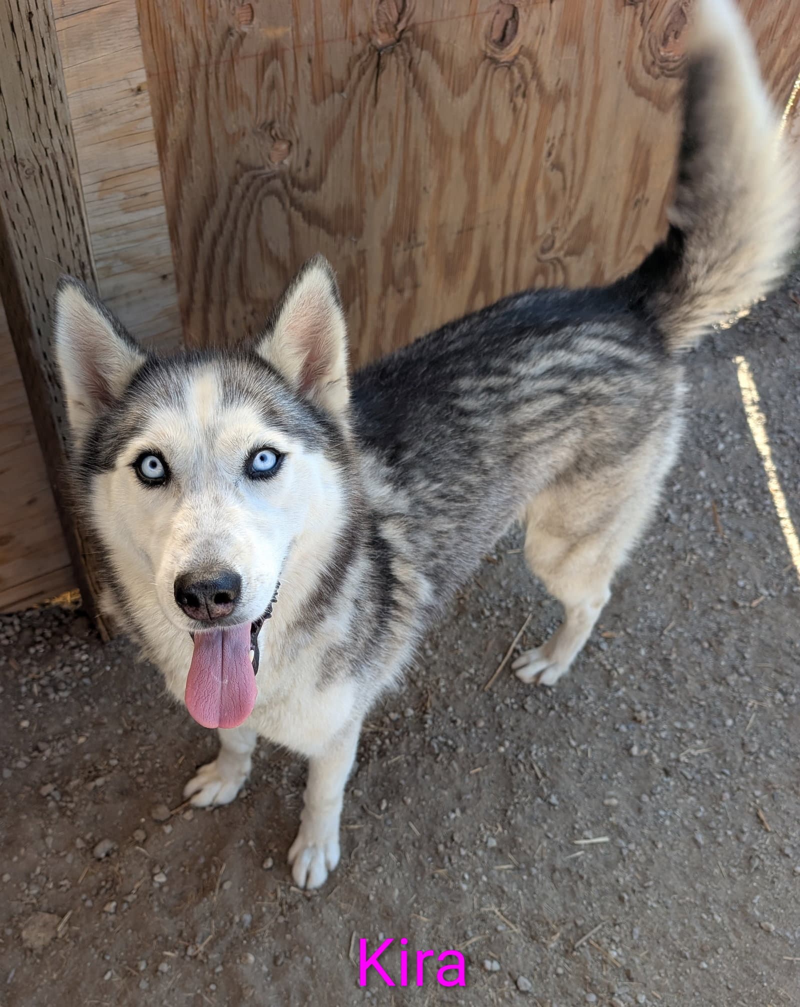 Kira