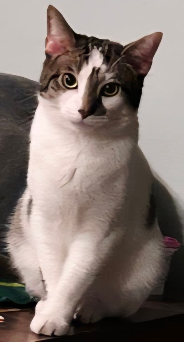 Goose