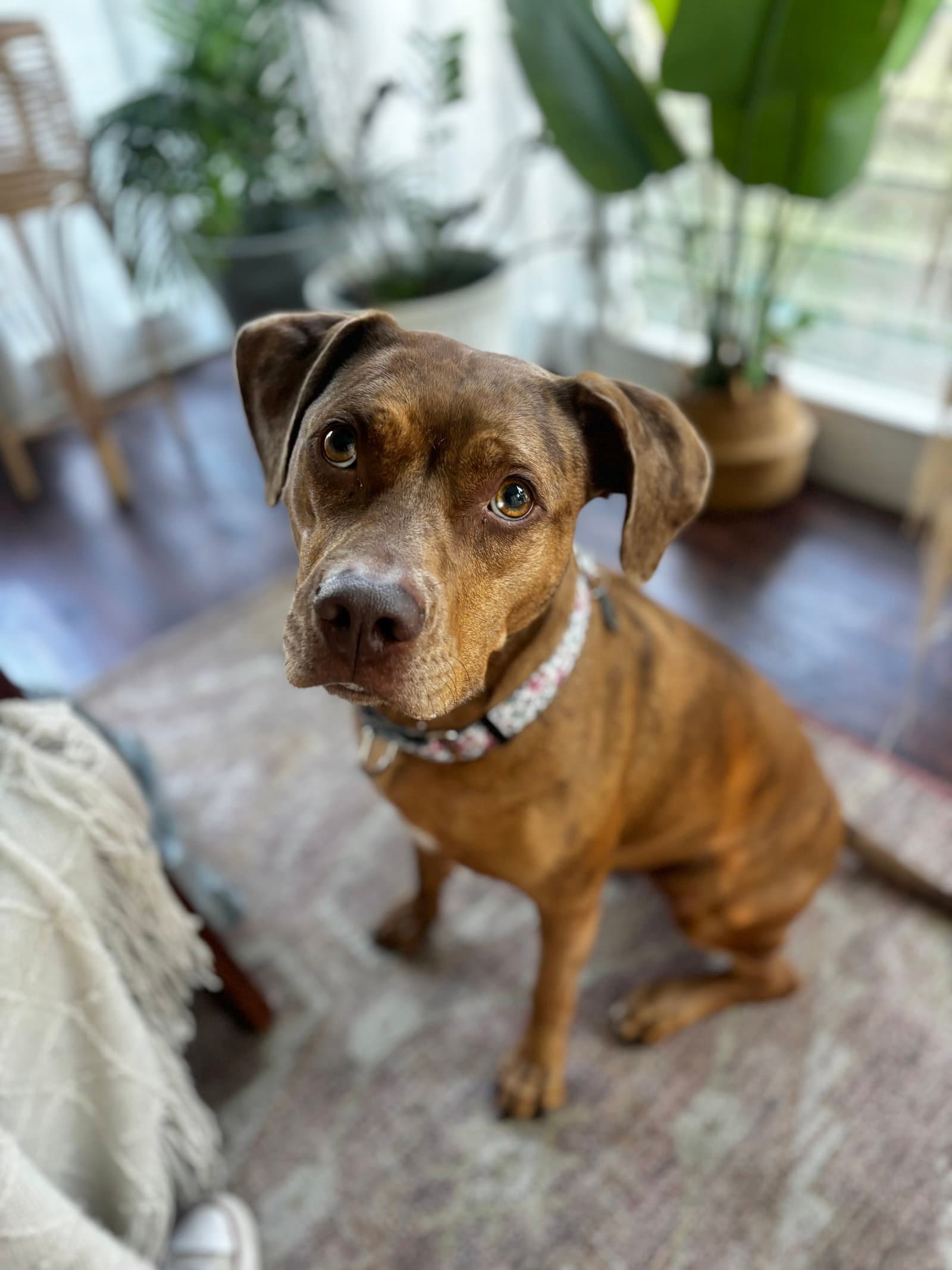 Penny