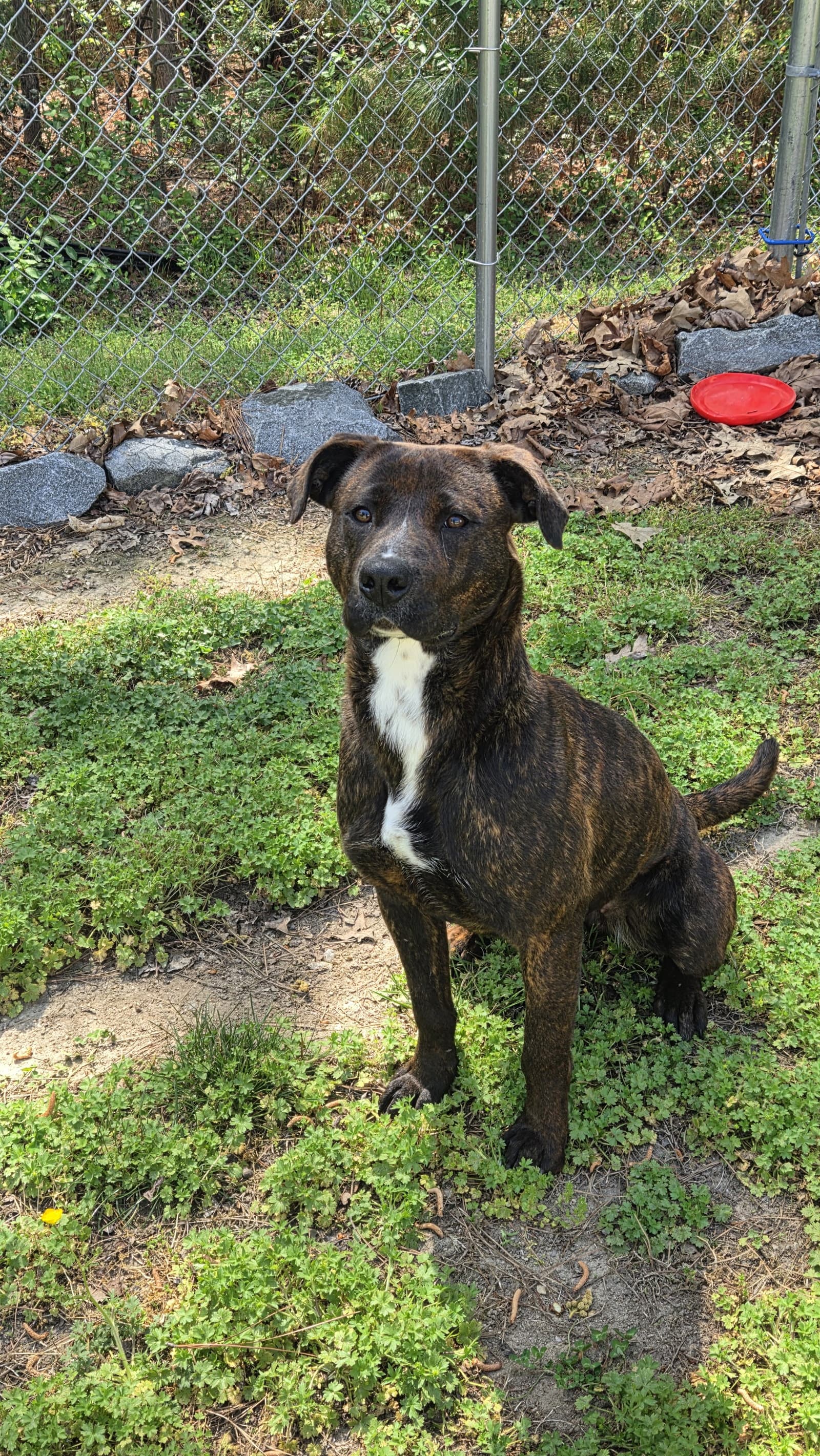 Brandy in Warsaw VA