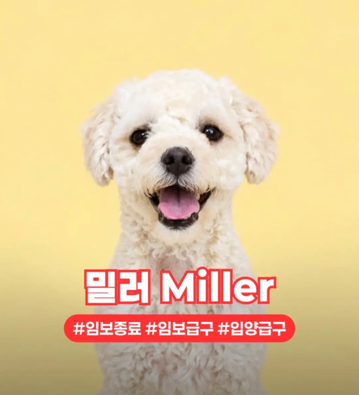 Miller