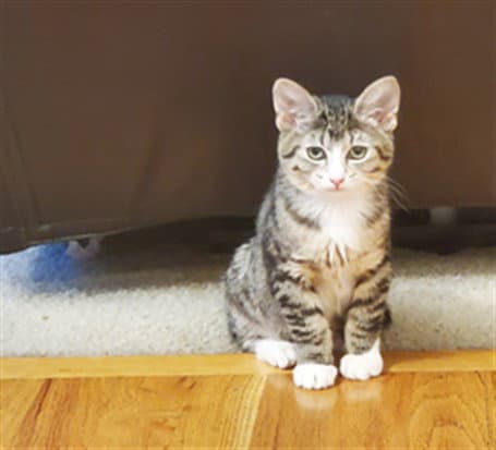 Bella