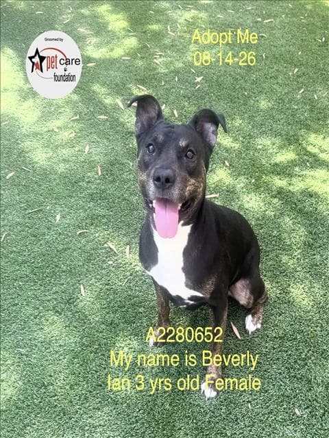 BEVERLY