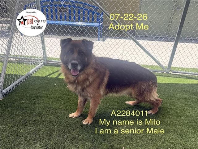 Milo