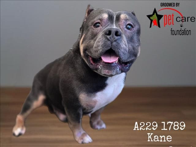 KANE