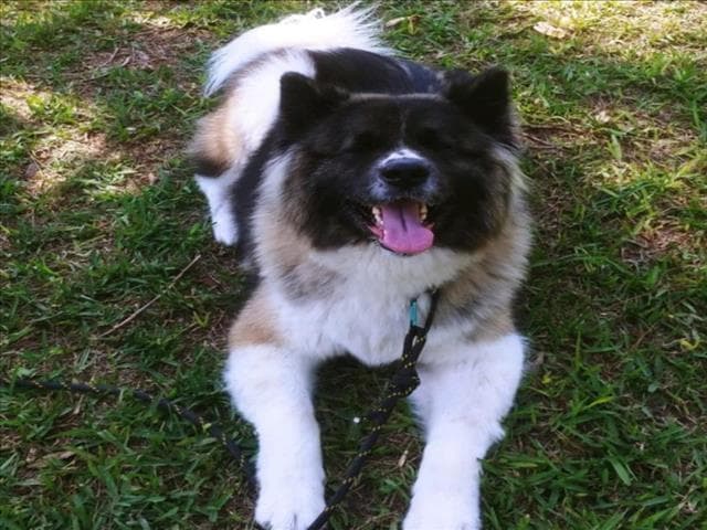 Zoey