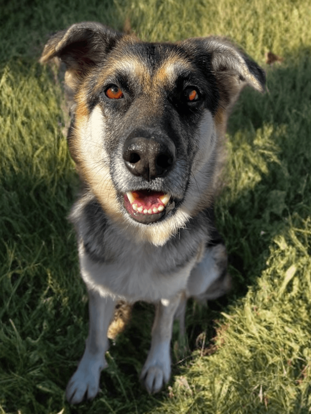 Kaia