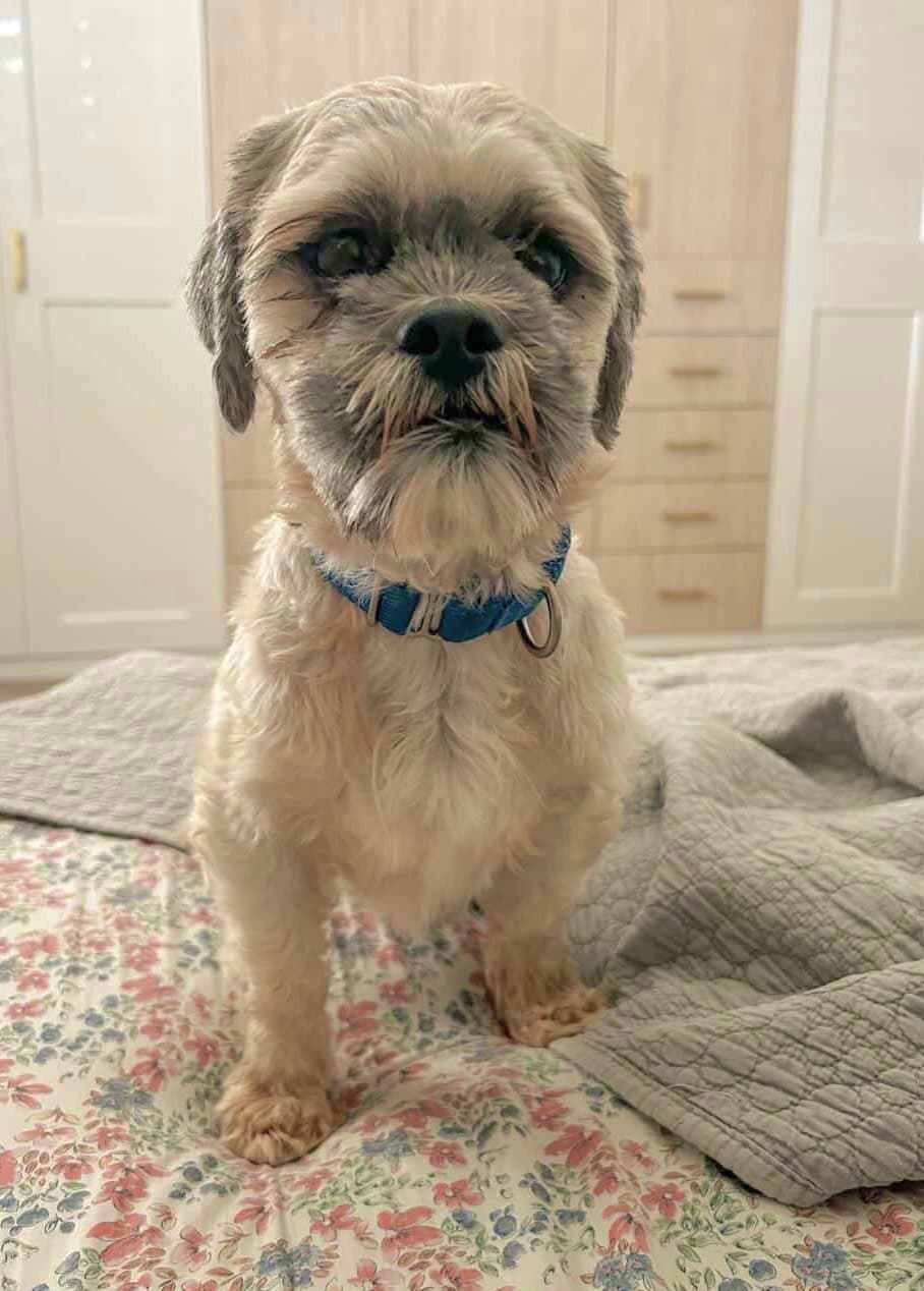 Oskar