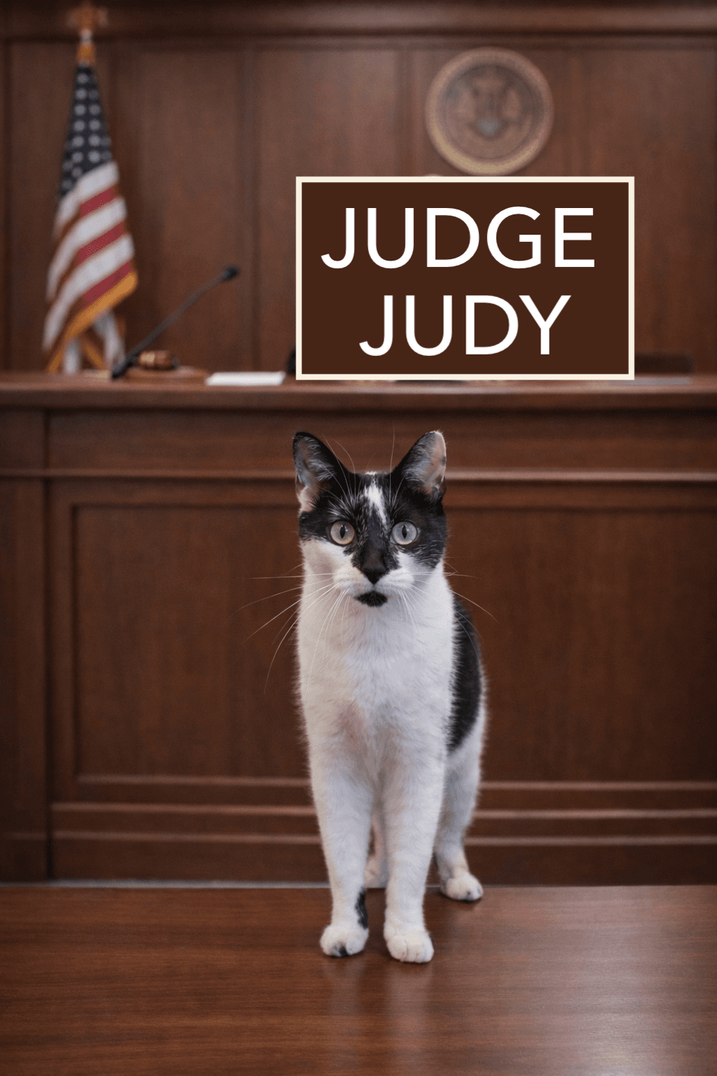 Judge Judy (FCID# 09/22/2025 - 68)