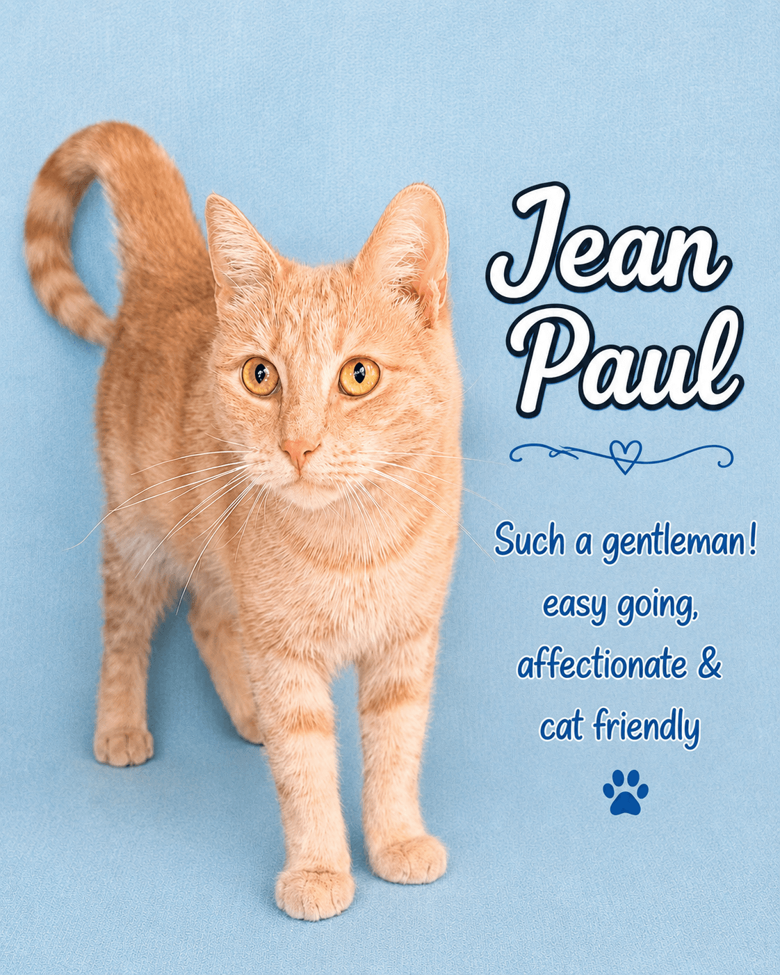 Jean Paul (FCID 1/12/26-82) Willow Grove area