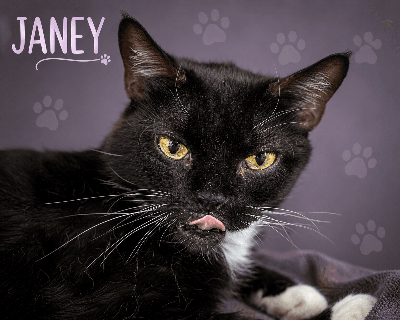 Janey (FCID# 04/20/2026 - 89 Trainer)