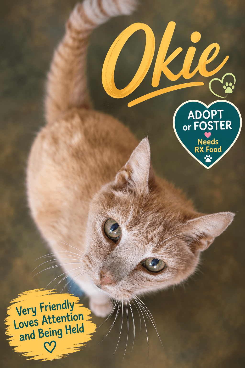 Okie: Foster Request Rx (FCID 05/27/26-38 Trainer)