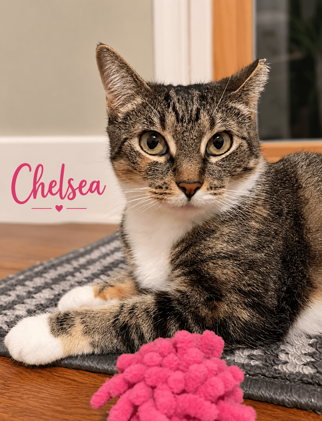 Chelsea, Willow Grove PS (6/10/26-140)