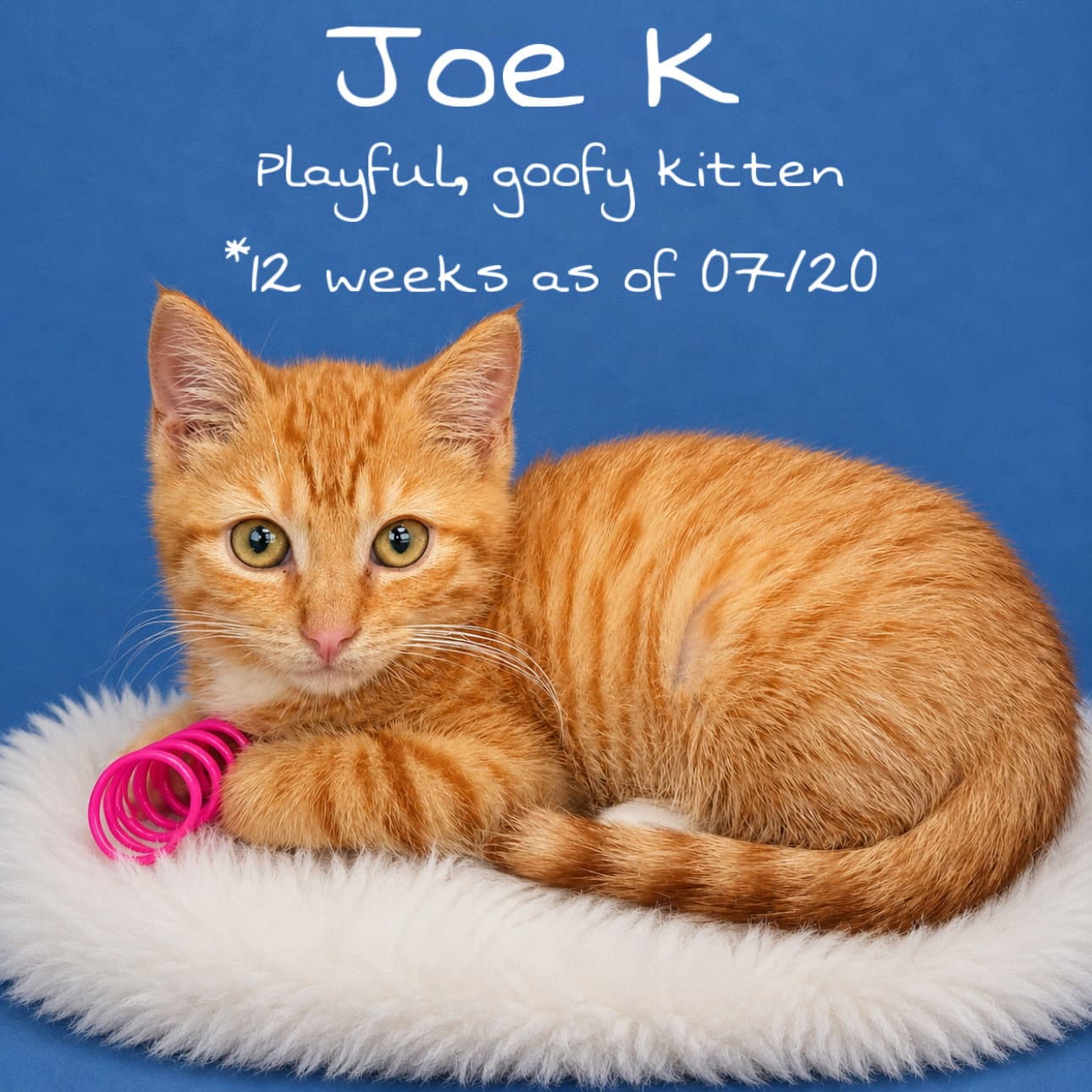 Joe K (FCID # 07/10/2026-167)