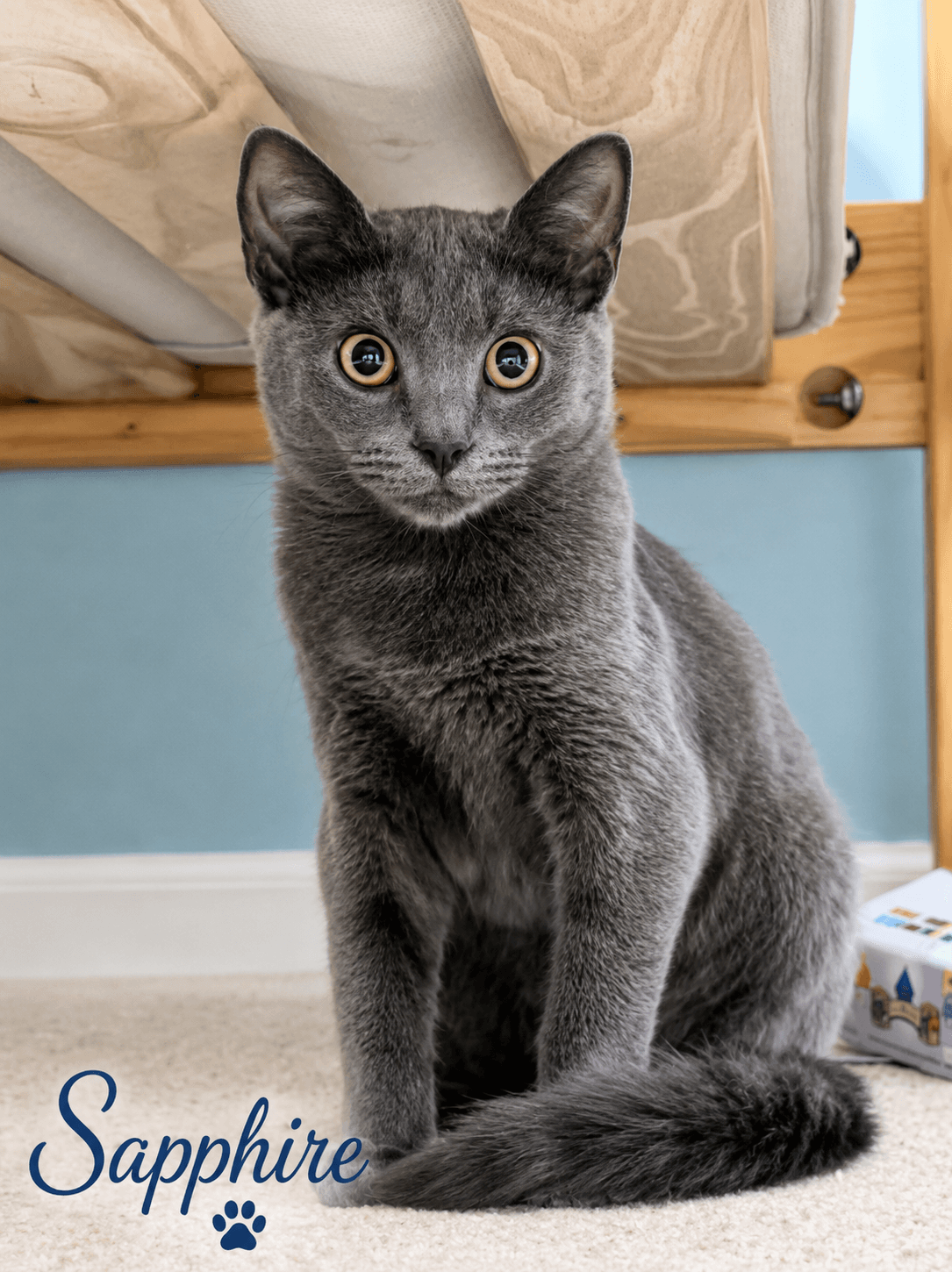 Sapphire, Willow Grove, (FCID# 07/21/2026-115)