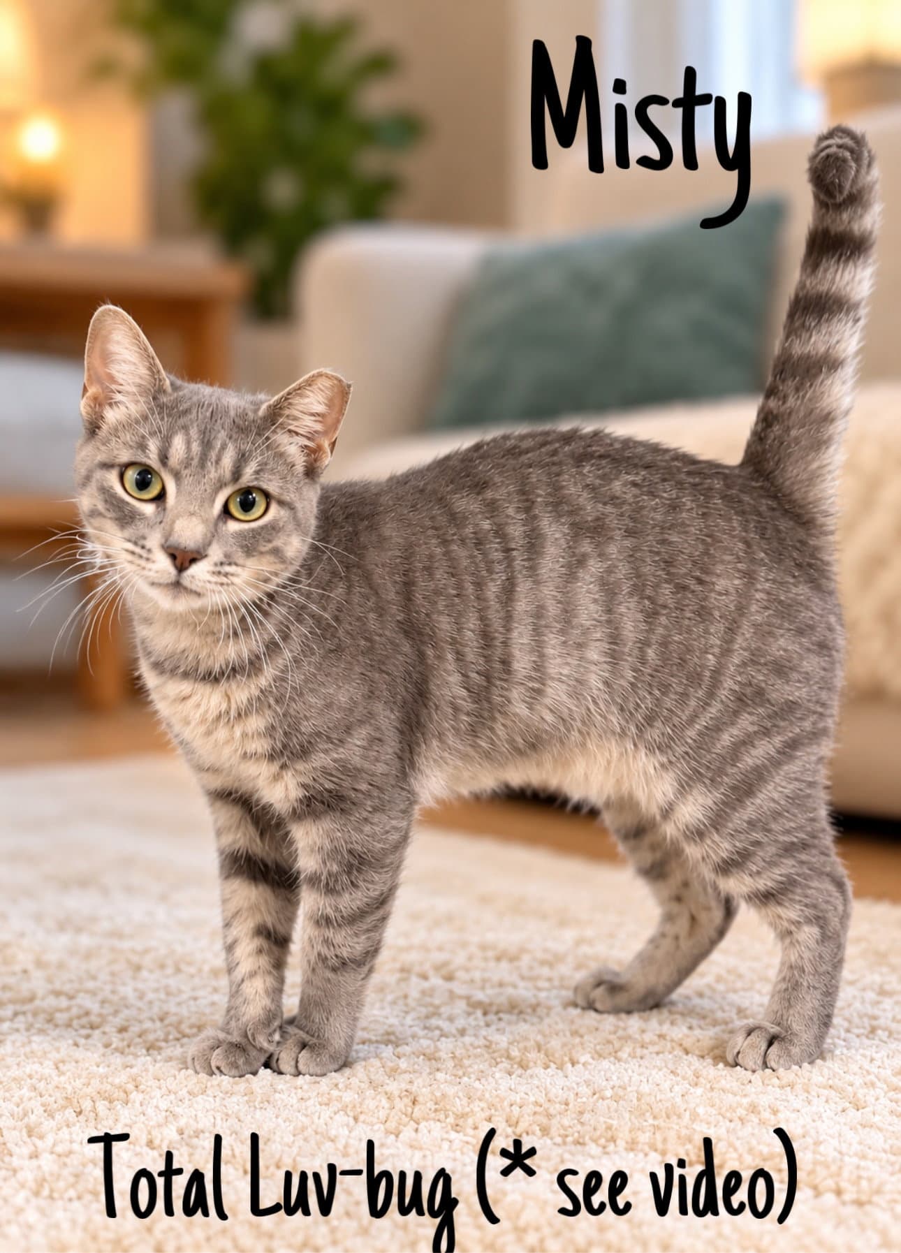 Misty (FCID# 08/11/2026 - 155) Willow Grove
