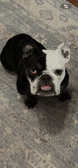 Winnie