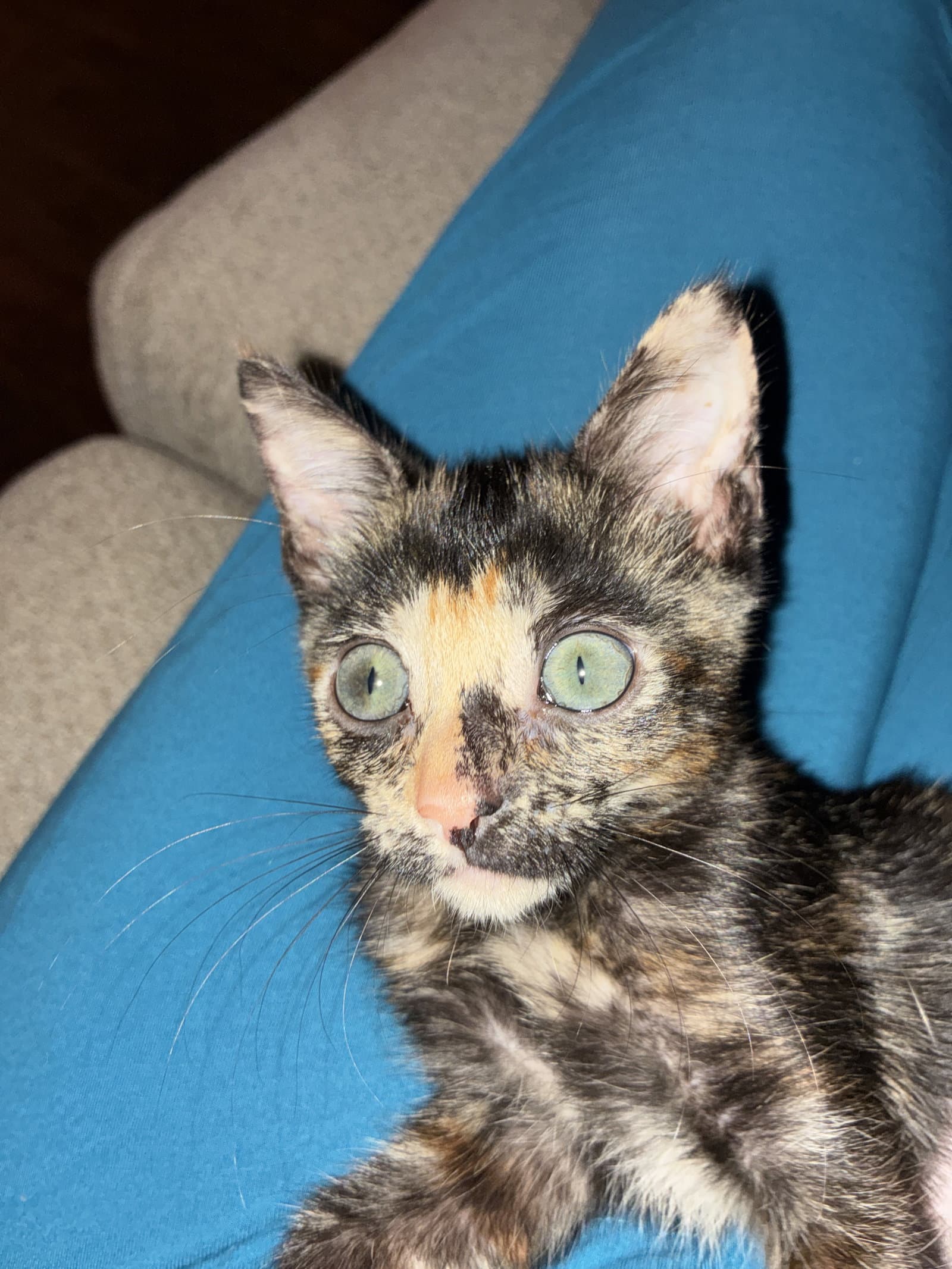Angel